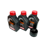 3-Liter Service Kit Tuareg 660 with MOTUL 7100 10W50