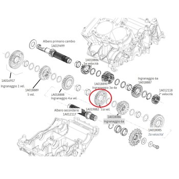 3rd gear component 1A019882 for secondary shaft in 660cc Aprilia gearbox