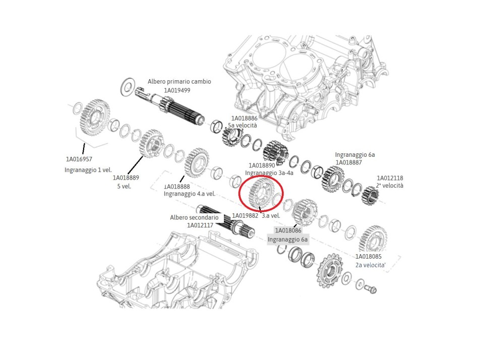 3rd gear component 1A019882 for secondary shaft in 660cc Aprilia gearbox