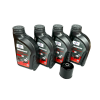 4 Liter Rsv4 Tuono V4 Maintence Kit With Silkolene Pro4 Xp 10w50