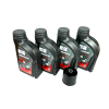 4 Liter Rsv4 Tuono V4 Maintence Kit With Silkolene Pro4 Xp 5w40