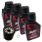 Kit Tagliando 4 Litri Rsv4 Tuono V4 Con Motul 300v 10w50