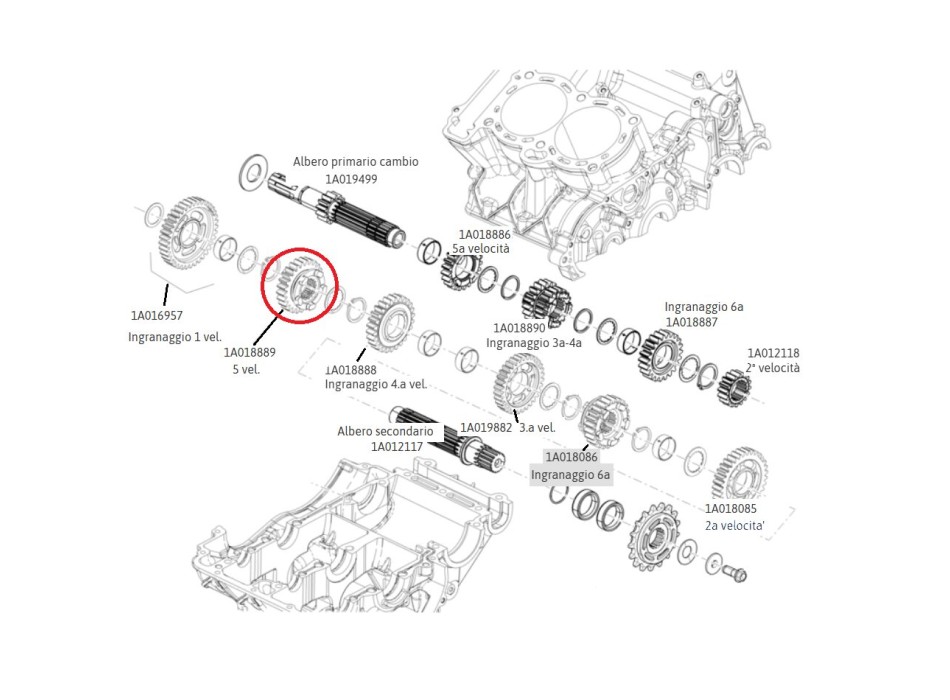 5th gear component 1A018889 for secondary shaft in 660cc Aprilia gearbox