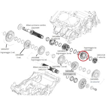 6th gear component 1A018887 for primary shaft in 660cc Aprilia gearbox
