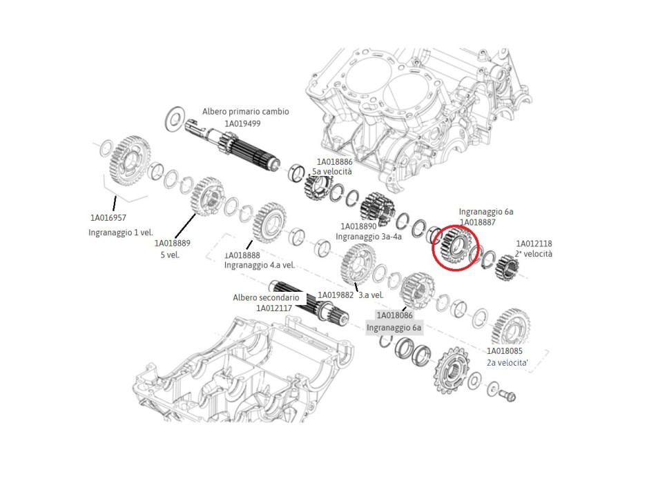 6th gear component 1A018887 for primary shaft in 660cc Aprilia gearbox