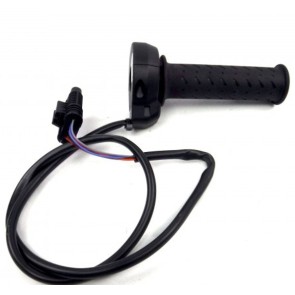 Acceleratore Elettronico Comando Rbw 2D000095