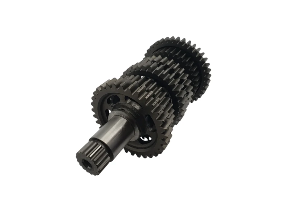 Albero secondario completo Aprilia TUONO E5+ 1A027361