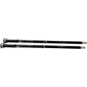 Andreani Misano Evo 2 Fork cartridge Kit 305/A11E for RS660
