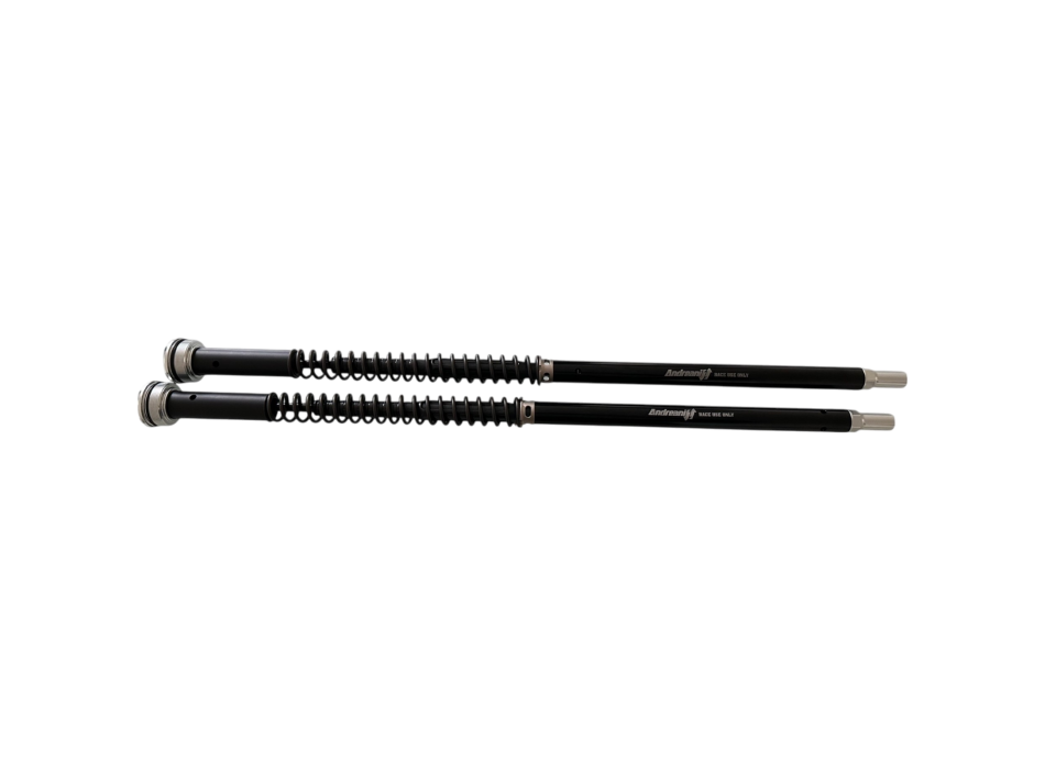 Andreani Misano Evo 2 Fork cartridge Kit 305/A11E for RS660