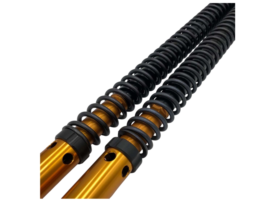 Andreani Rally fork cartridge kit 125/A01 for Tuareg 660