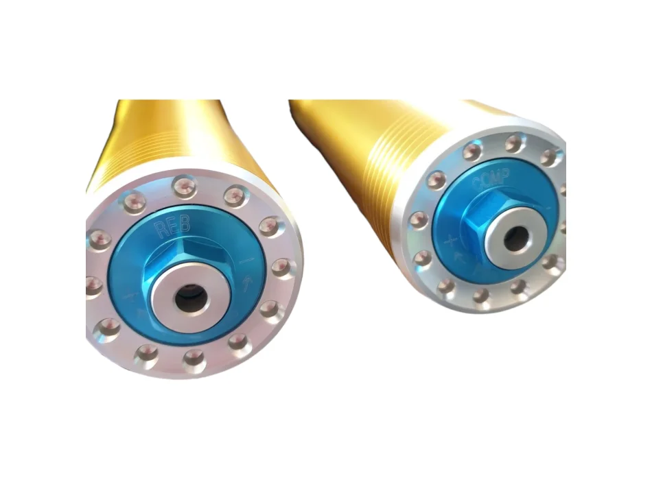 Aprilia Öhlins - Coppia Forcelle 2B003405 (LH) + 2B003406 (RH)