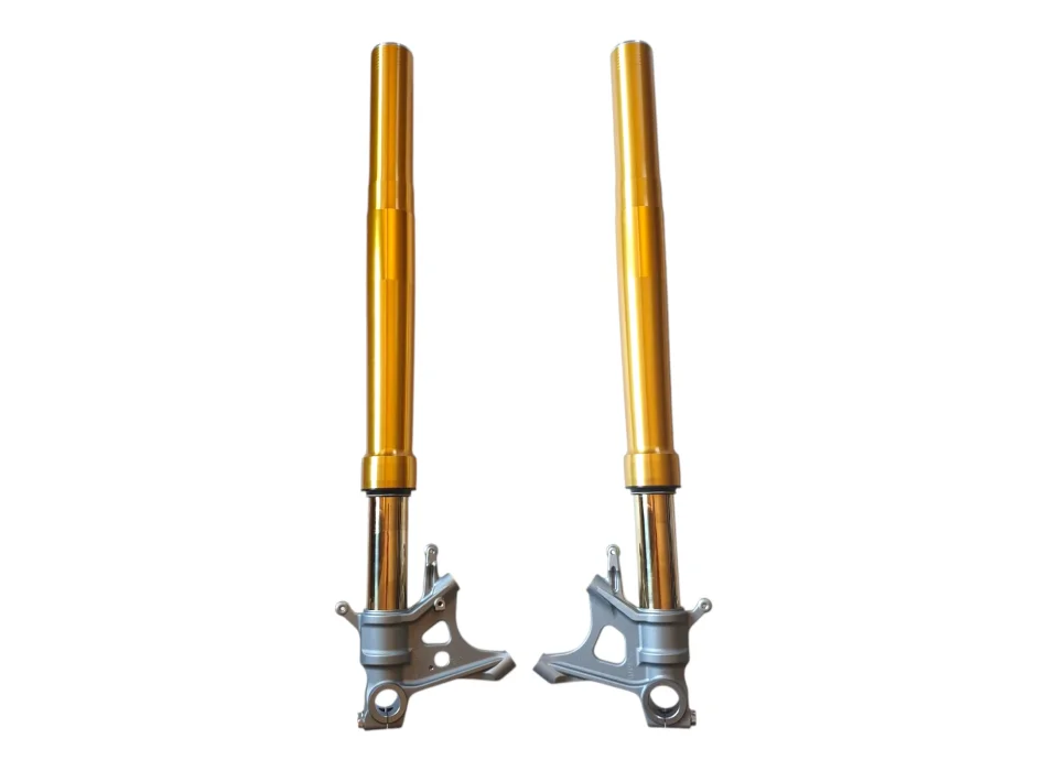 Aprilia Öhlins - Coppia Forcelle 2B003405 (LH) + 2B003406 (RH)