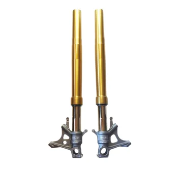 Aprilia Öhlins - Coppia Forcelle 2B003405 (LH) + 2B003406 (RH)