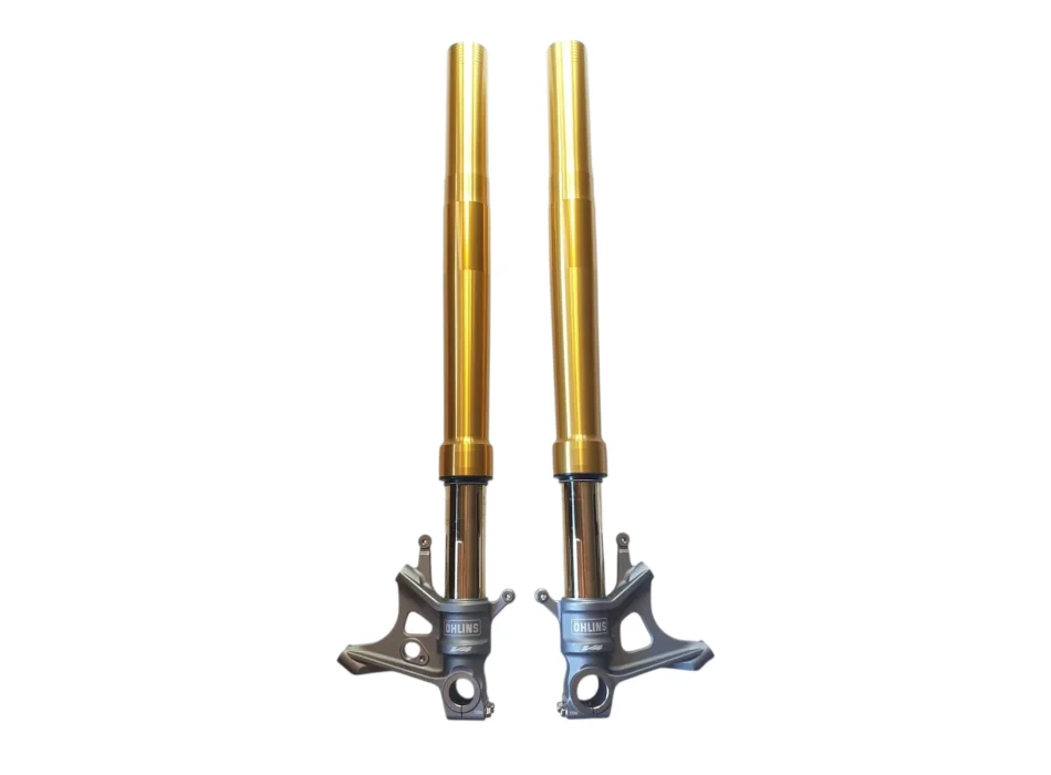 Aprilia Öhlins - Coppia Forcelle 2B003405 (LH) + 2B003406 (RH)