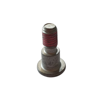 Brake Disc Bolt 2B010674 for RS457