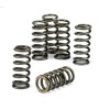 Clutch spring kit Tuono V4 B044275