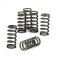 Kit molle frizione Tuono V4 B044275