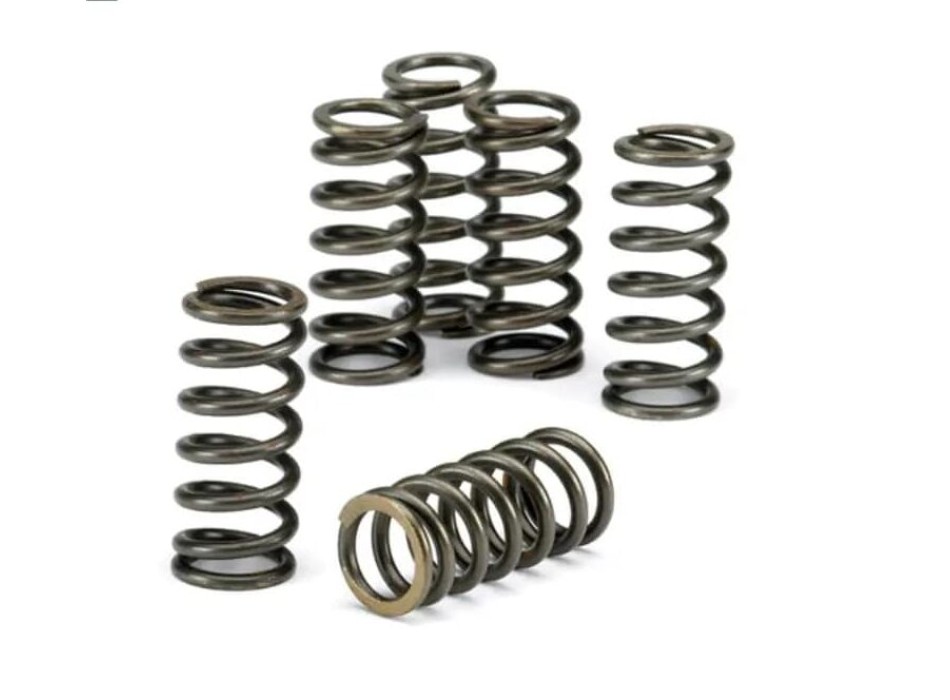 Clutch spring kit Tuono V4 B044275