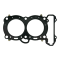 Guarnizione Testa Rs660 / Tuono 660 / Tuareg 660 1A011923