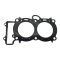 Guarnizione Testa Rsv4 2009-2014 / Tuono V4 2011-2014 857445