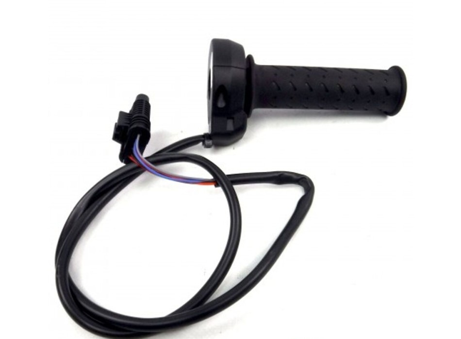 Electronic Throttle Command Rbw 2d000095