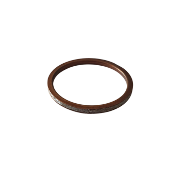 Exhaust Gasket 2B009579 for RS457