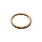 Exhaust Gasket 2B012220 for V4 and 660 Engines