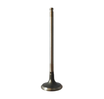 Exhaust Valve 1A016659 for 660 Engines
