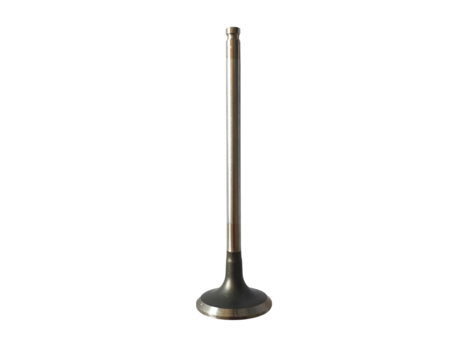 Exhaust Valve 1A016659 for 660 Engines