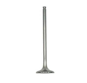 Exhaust Valve 2a000236 for V4