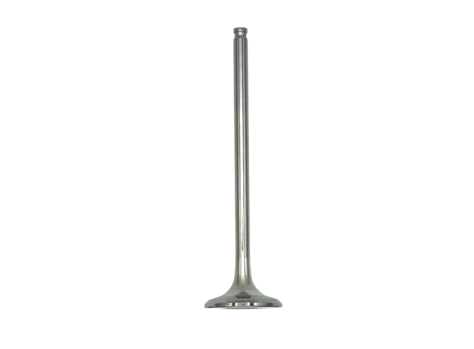 Exhaust Valve 2a000236 for V4