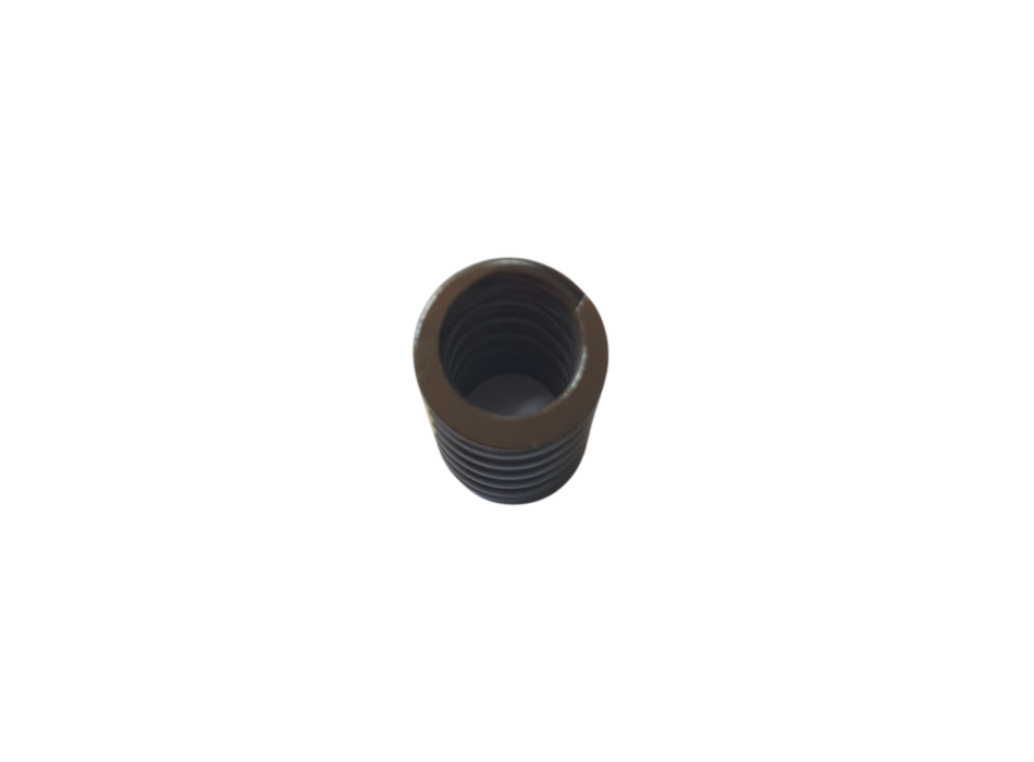 Exhaust Valve Spring for Aprilia 660 Engine - 857030