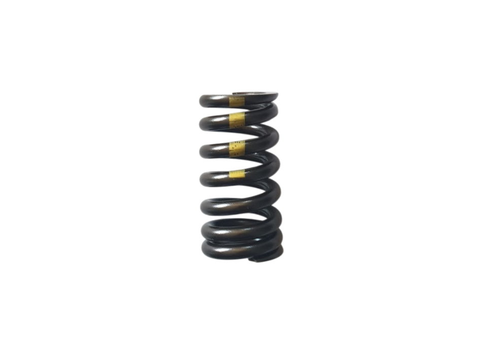 Exhaust Valve Spring for Aprilia 660 Engine - 857030