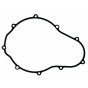 Guarnizione Carter Frizione Rs660 - Tuono 660 - Tuareg 660 1A013509