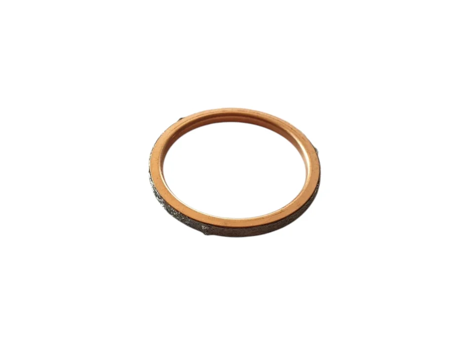 Guarnizione di scarico 2B012220 per motori V4 e 660