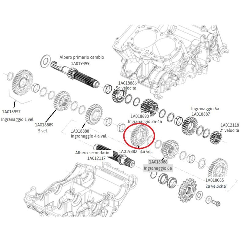 Ingranaggio 3 velocità su albero secondario per Aprilia 660 art. 1A019882