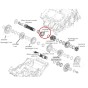 Ingranaggio 5 velocità su albero primario per Aprilia 660 art. 1A018886