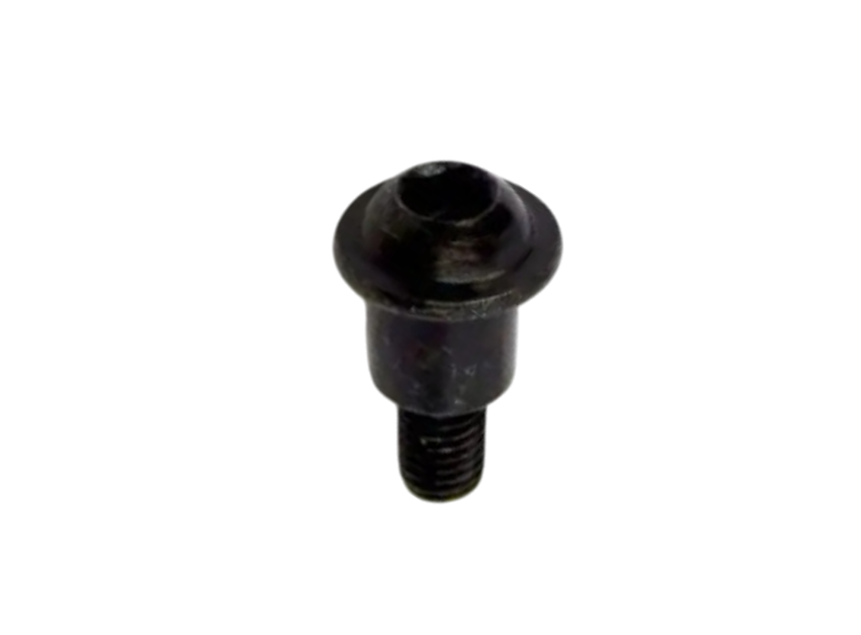 Intake duct fixing Screw 893132