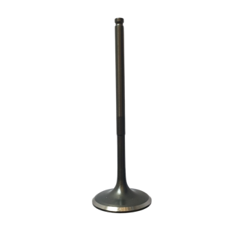 Intake Valve 1A013958 for 660 Engines