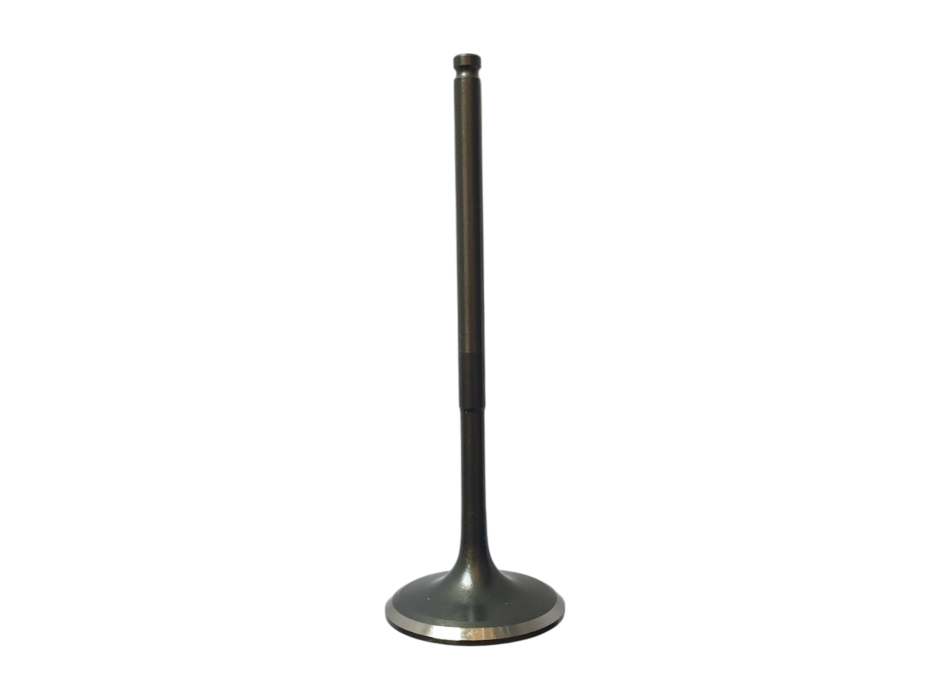 Intake Valve 1A013958 for 660 Engines