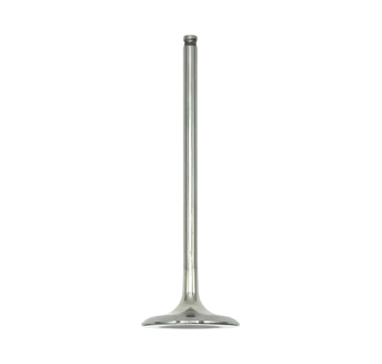 Intake Valve 2a000178 for V4