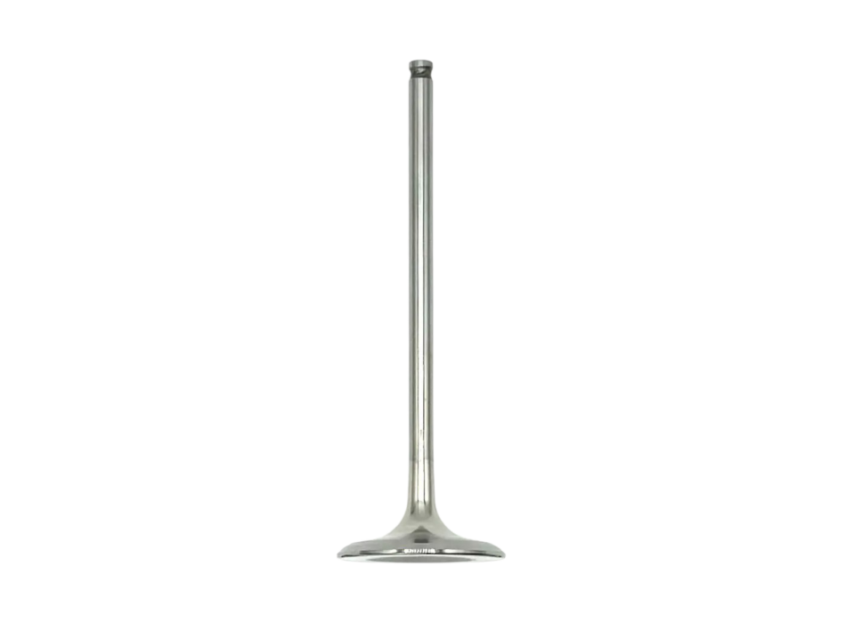 Intake Valve 2a000178 for V4
