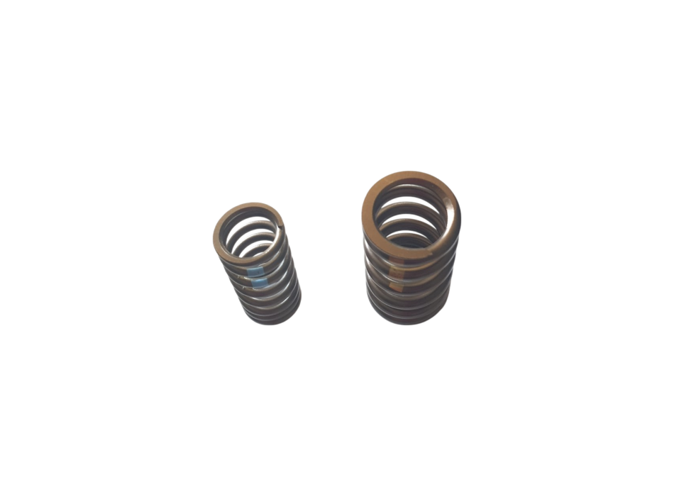 Intake Valve Dual Spring for 660 and V4 Aprilia Engines - 1A008432