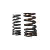 Intake Valve Dual Spring for 660 and V4 Aprilia Engines - 1A008432