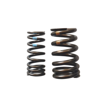 Intake Valve Dual Spring for 660 and V4 Aprilia Engines - 1A008432