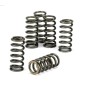Kit Molle Frizione Rsv4 893777