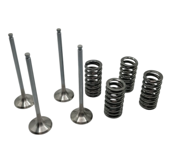 Kit Oversized Exhaust Valves by Gabro Racing Team