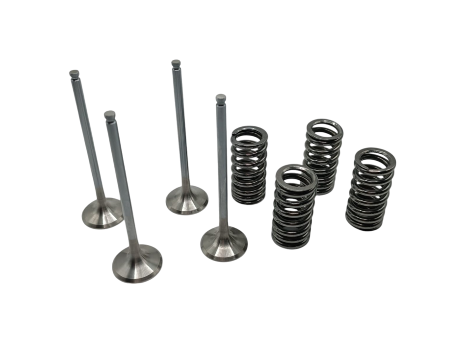 Kit Oversized Exhaust Valves by Gabro Racing Team
