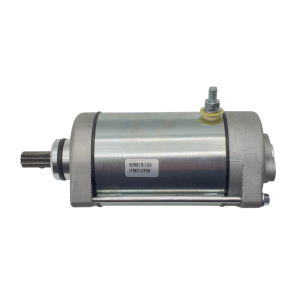 Motorino Avviamento Originale Caponord 1200 Dorsoduro 750 900 1200 Shiver 750 900