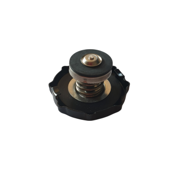 Radiator Cap Rsv4 Tuono V4 893954